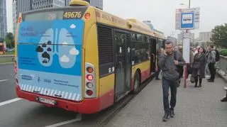 Zastępcza linia autobusowa