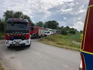 Potrącenie pieszego przez pociąg w miejscowości Rokitno