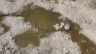 Rekordowo niski poziom wody w Wiśle
