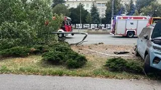 Zderzenie na Puławskiej 