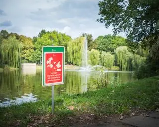 Tabliczki ostrzegające w parku Promenada