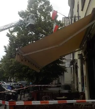 Rój pszczół zagrażał przechodniom 