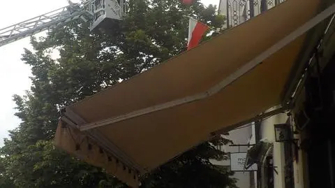 Rój pszczół zagrażał przechodniom 
