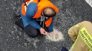 Aktywiści Ostatniego Pokolenia zablokowali trasę S8
