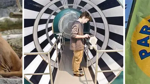 Na majówkę do zoo, Kopernika lub Powsina