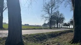 Andrzej P. stracił panowanie nad autem na łuku 