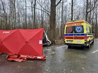 Samochód uderzył w drzewo, nie żyją dwie osoby