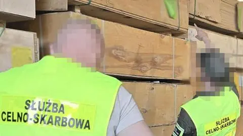 Import sklejki z Rosji i Białorusi. KAS zatrzymała trzy osoby