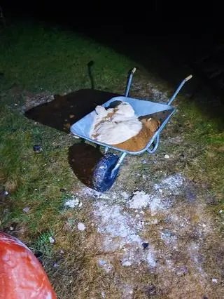 Dwie osoby usłyszały zarzut wytwarzania narkotyków