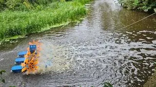 Służby natleniają rzekę Wkrę