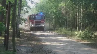 Pożar lasu w Jabłonnie