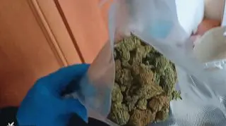 Akcja CBŚP wymierzona w przestępczość narkotykową