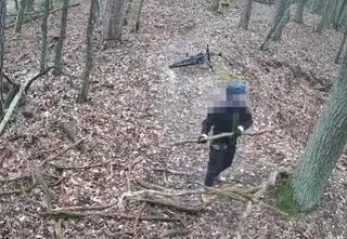 Rowerzysta w "obszarze ścisłej ochrony" Kampinoskiego Parku Narodowego. Nagrała go kamera