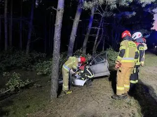 Zderzenie z łosiem pod Legionowem