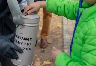 Aktorzy, muzycy i politycy będą kwestować na Powązkach