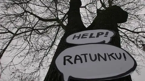 Szykują wycinkę na Ochocie. Mieszkańcy bronią drzew