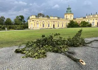 Zniszczenia w pałacowym ogrodzie