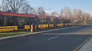 Nowe drzewa przy Sobieskiego