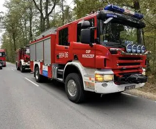 Wypadek w miejscowości Sitne