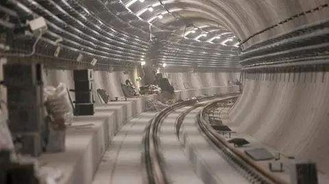 Pies wbiegł na tory w metrze (zdjęcie ilustracyjne)