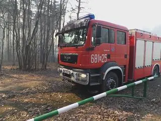 Pożar lasu w Kobyłce