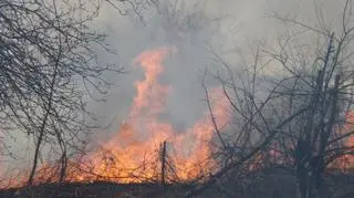 Pożar traw w okolicy mostu Siekierkowskiego