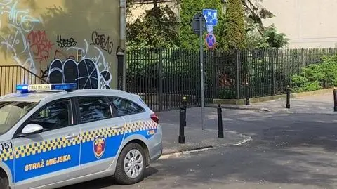 Rój pszczół przy Senatorskiej