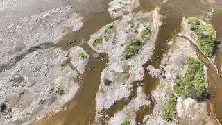 Rekordowo niski poziom wody w Wiśle