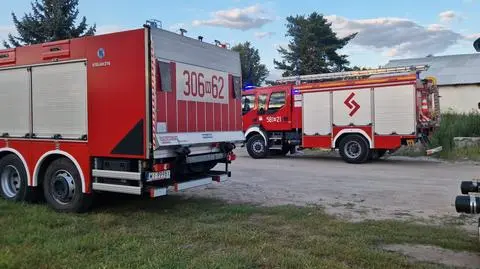 Akcja służb w Żółwinie koło Pruszkowa