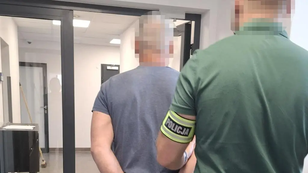 Policja: celowo taranował stado dzików samochodem. Usłyszał zarzuty 