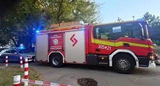 Potężny konar mógł runąć na budynek