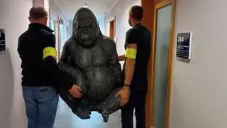 Policjanci odzyskali "uprowadzoną" figurę goryla