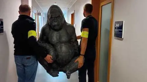 Policjanci odzyskali "uprowadzoną" figurę goryla