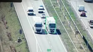 "Wyścig słoni" w oku drona. Kierowca miał cofnięte uprawnienia