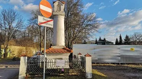 Ktoś ściął jesion, urząd szuka sprawcy. "Rozważamy powiadomienie policji"