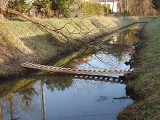 Najkrótsza droga do szkoły wiedzie po drabinie