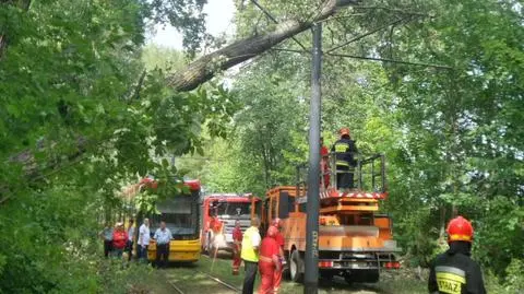 Drzewo zerwało sieć trakcyjną. Tramwaje stanęły, strażacy w akcji