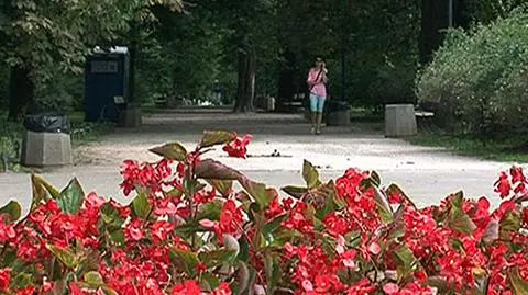 Ogród Saski do remontu, ale tylko w połowie