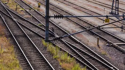 Do Grodziska szybciej i częściej. Wcześniej zamkną tory na rok