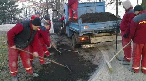 Wyrównują, co rozjechano. "Policjo - SZANUJ ZIELEŃ"