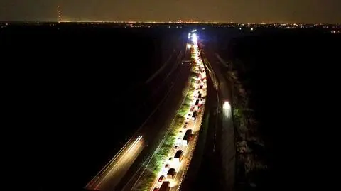Łoś wybiegł na nowy odcinek S7. Dwa auta rozbite, zwierzę nie przeżyło