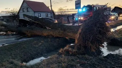 Skutki wichury na Mazowszu 