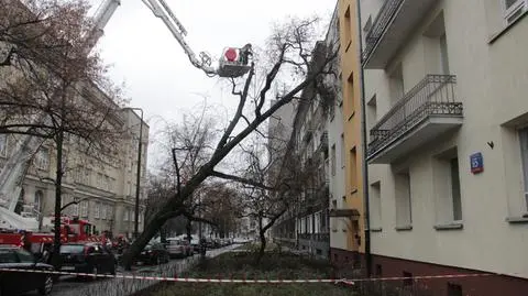 Drzewo spadło na blok. Uszkodzona elewacja