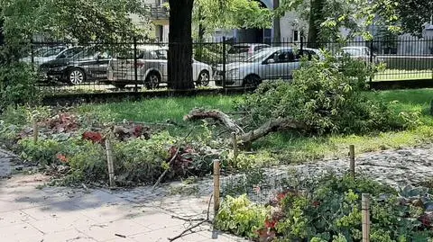 Konar spadł na przechodzącą kobietę