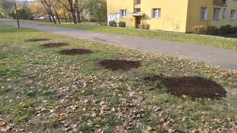 "Płot nienawiści" zdemontowany