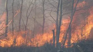 Pożar traw w okolicy mostu Siekierkowskiego