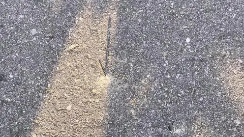 Niebezpieczna pułapka na rowerzystów na Ursynowie. Ktoś powbijał gwoździe w ścieżkę