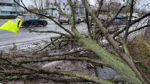 Powalone drzewa, zerwany dach, zablokowane tramwaje, problemy na kolei