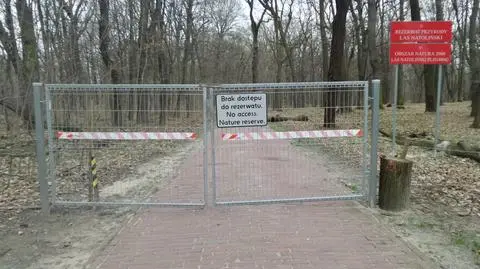 Trasa rowerowa w Natolinie? "Zdarzają się różne incydenty"