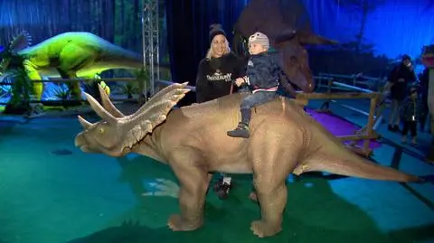 Dinozaury na błoniach Narodowego